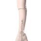 Beige Zip Detail Chunky Platform Sole Block Heel Over The Knee Thigh High Long Sock Boot